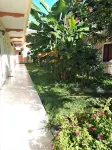 Sophie Studios