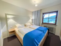 Alpenappartement Buchenhöhe A301 - parking