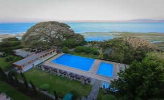 aerial view of a resort with a large pool surrounded by lounge chairs and umbrellas at Haile Resort Hawassa