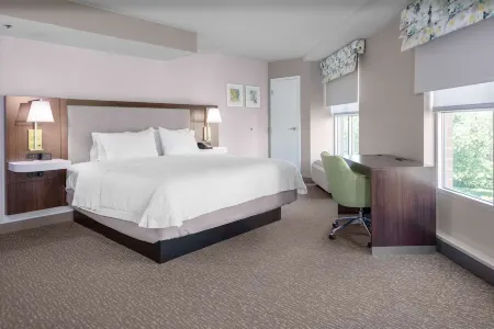 Hampton Inn & Suites by Hilton Arlington Crystal City DCA