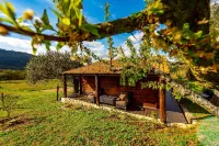 Quinta do Quinto Các khách sạn ở Celorico da Beira