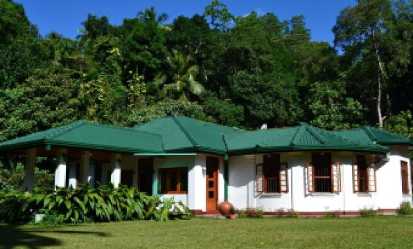 Sweet Cinnamon Kandy - Housity