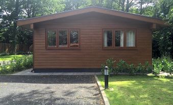 a wooden cabin with a brown exterior and large windows is situated on a gravel driveway at Shellow Lane Lodges