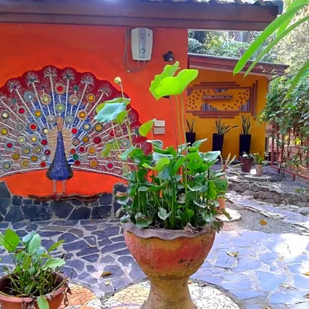 Blessed Koh Chang