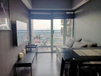 Comfort One Bedroom Apartment with City View