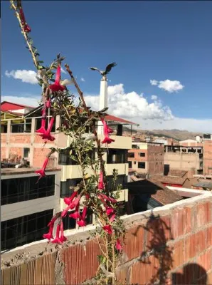 Hotel EN Cusco