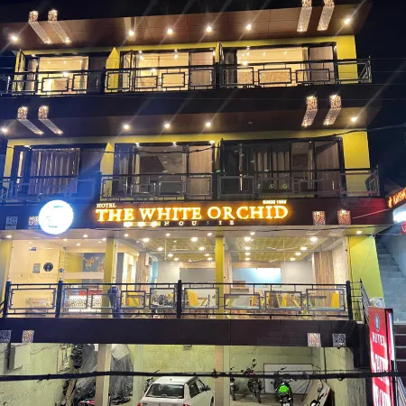 The White Orchid Dalhousie