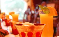 Alexander Mansion Bed & Breakfast Hotels in Winona