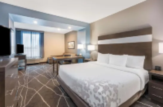 La Quinta Inn and Suites by Wyndham Houston Spring South