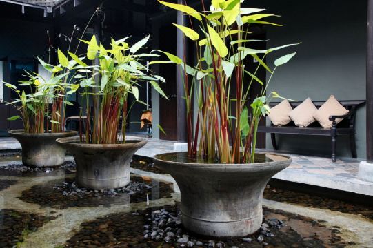 센타라 호텔 핫야이