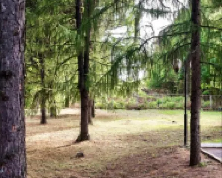 Razgulyaj Mini-Hotel