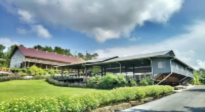 婆羅洲酒店 酒店