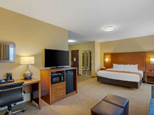 Comfort Inn & Suites Sayre