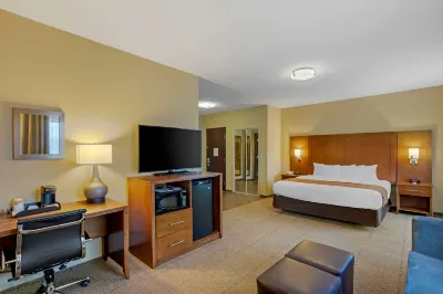 Comfort Inn & Suites Sayre Hotels in Nichols