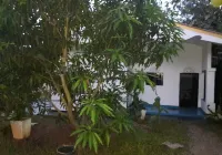 Wenasa Hotel - Pet friendly