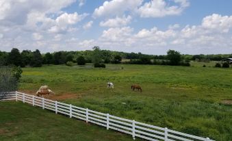 Magnolia Plantation B&B