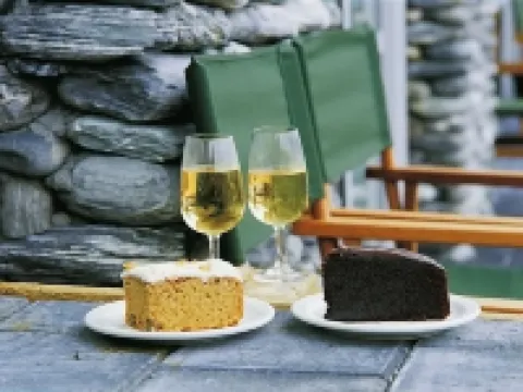 西岸汽車旅館 福克斯冰川鎮酒店