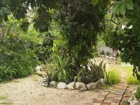 Casa Hostal Mamey - Hostel Các khách sạn ở 