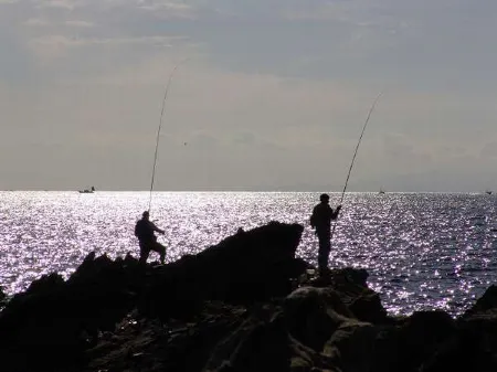 Arasaki Kaion Sagamiya