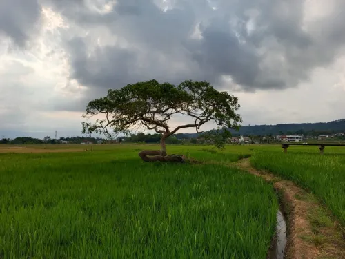 Alton Guest House (2 Bedrooms) Hotels in Sidorejo