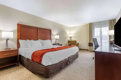 Comfort Inn & Suites Clemson - University Area