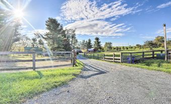 Cozy Country Retreat on a Horse Breeding Farm!
