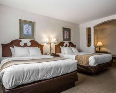 Comfort Inn & Suites East Greenbush - Albany