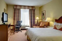 Hilton Garden Inn McAllen Airport Hotels near Northcross Shopping Center