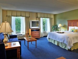 Hampton Inn & Suites ATL-Six Flags