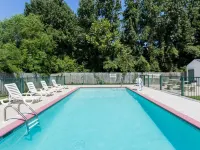 Super 8 by Wyndham Statesboro - Wifi