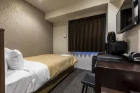 Hotel Livemax Okazaki Hôtels à : Okazaki