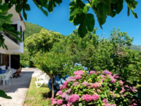 Luka Ξενοδοχεία στην πόλη Dobrec