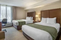 Comfort Inn Shady Grove - Gaithersburg - Rockville Hotels in Gaithersburg