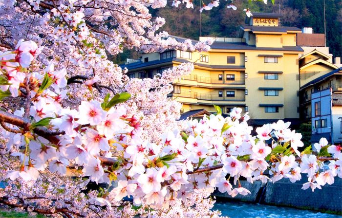 あつみ温泉 たちばなや