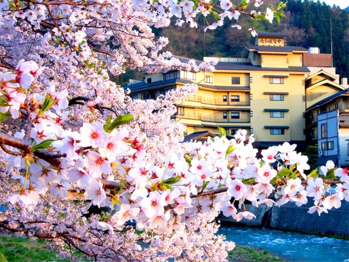 Atsumi 温泉 橘屋旅館