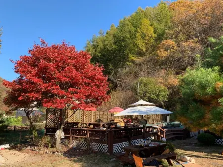 Hongcheon Namu Pension Отели рядом с достопримечательностью «Palbongsan Tourist Site»