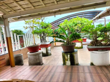 Sunflower Banyuwangi Hotel Отели в г. Banyuwangi Sub-District