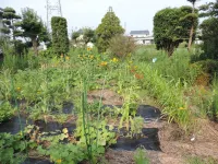 Kumamoto Farm Stay Hôtels à : Mifune