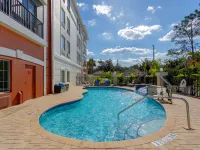 Holiday Inn Express TAMPA N I-75 - UNIVERSITY AREA by IHG Hotels in Tampa