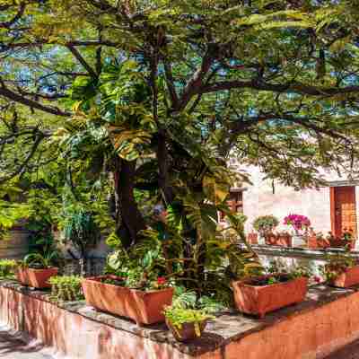 Quinta Real Oaxaca Hotel Exterior