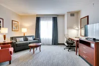 Hilton Garden Inn Milwaukee Airport Hôtels à : Oak Creek