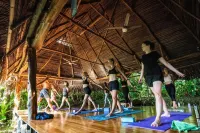 Jungle Lodge at Wild Sun Rescue Center Hotels in Cobano District