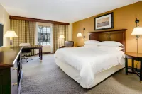 Sheraton Atlanta Perimeter North Hotel Отели в г. Санди-Спрингс