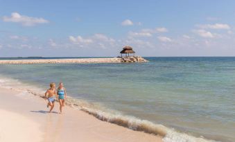Ventus Ha at Marina El Cid Spa & Beach Resort - All Inclusive