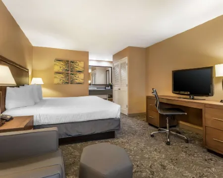 Best Western Plus Inn Scotts Valley Hotels in Santa Cruz County