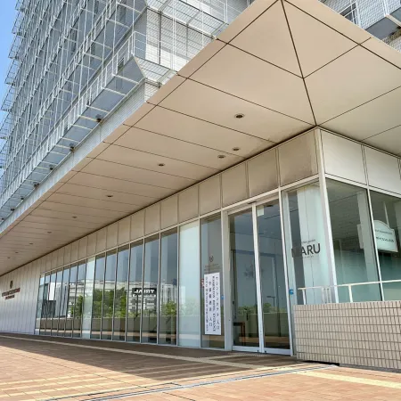 Kansai Airport Washington Hotel