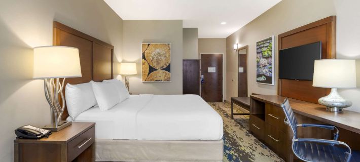 Comfort Inn & Suites Valdosta Отели в г. Лаундс