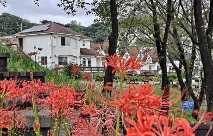 Hapcheonho View Smile Pension