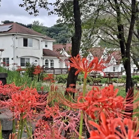 Hapcheonho View Smile Pension