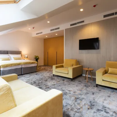 Boutique Hotel Museum Отели рядом с достопримечательностью «Стари град»